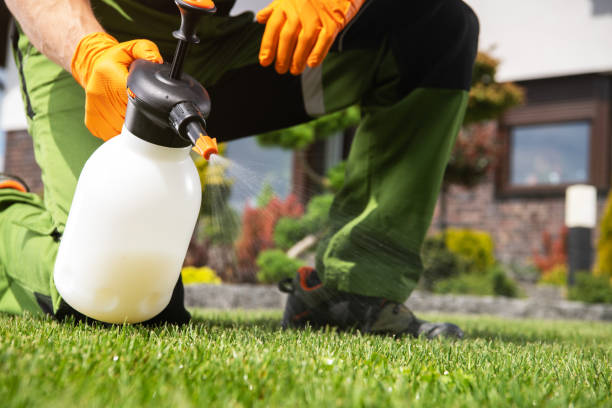 Wildlife Control Services in Asheville, NC
