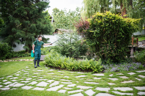Best Residential Pest Control  in Asheville, NC