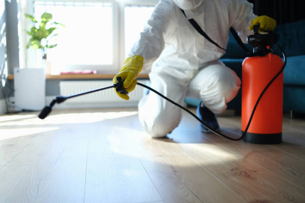 Best Local Pest Control Services  in Asheville, NC