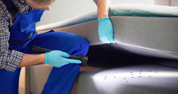 Best Affordable Pest Control Services  in Asheville, NC