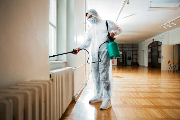 Best Flea Control Services  in Asheville, NC