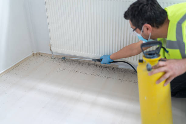 Best Mosquito Control Services  in Asheville, NC