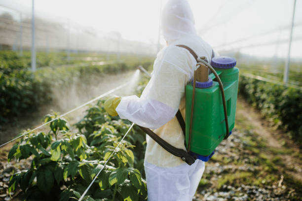 Best Wildlife Control Services  in Asheville, NC